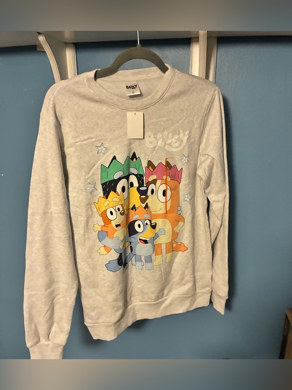 Bluey Family Crewneck Sweatshirt – "Hooray!" Graphic – Adult Size S – NWT